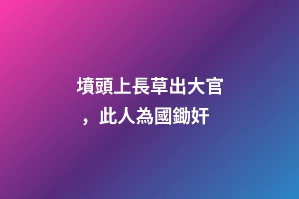 墳頭上長草出大官，此人為國鋤奸-第1張-觀點-玄機派